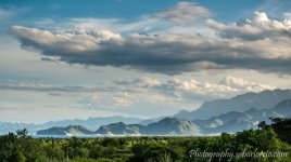 DSC_0348.jpg