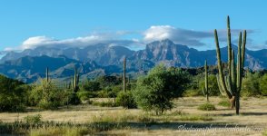 DSC_1111.jpg