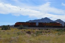 DSC_1122.jpg
