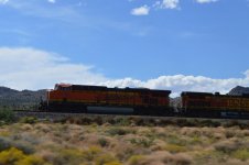 DSC_1124.jpg