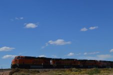 DSC_125.jpg