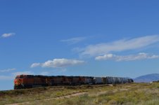 DSC_1126.jpg