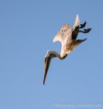 DSC_1048.jpg