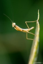 20151024-20151024-SHM_8930-Edit-Edit.jpg