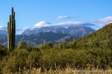 DSC_1104.jpg