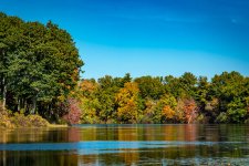 DSC_4514.jpg