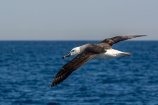 DSC_6512.jpg
