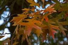 _AAA6680 - Version 2.jpg