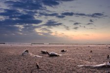 DSC_1291.jpg