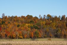 DSC_3150.jpg