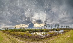 Okefenokee--3.jpg