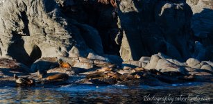 DSC_1245.jpg