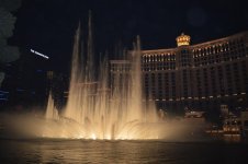 DSC_1172.jpg