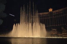 DSC_1173.jpg
