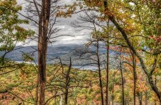 Fall In The Mountains--3.jpg