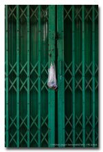 door.jpg
