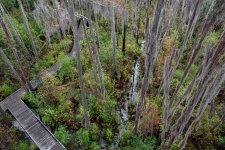 Okefenokee--10.jpg