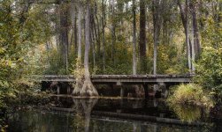 Okefenokee--22.jpg