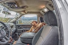 Fall In The Mountains---.jpg