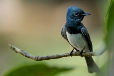 DSC_2956.jpg