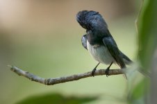 DSC_2961.jpg