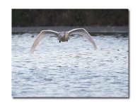 DSC_5002.jpg