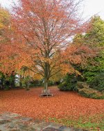 Autumn-Seat.jpg