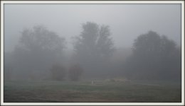 _6003311-001.jpg