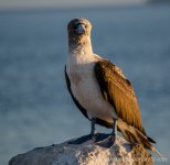 DSC_1687.jpg