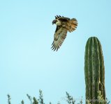DSC_1638.jpg