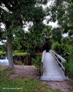 10-29-15 Tradewinds   2.jpg