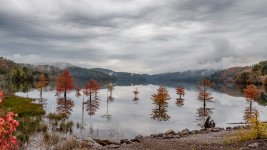 Fall In The Mountains.jpg