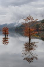 Fall In The Mountains--3.jpg