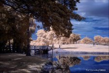 10-29-15 Tradewinds  IR   7.1.jpg