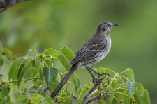 IVA_7306-Edit.jpg