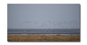 DSC_5076.jpg