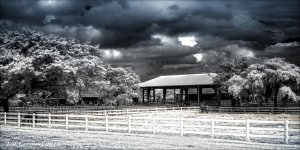10-29-15 Tradewinds  IR   11BW.jpg