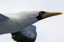 IVA_6377-Edit.jpg