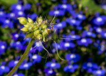 untitled-1-507.jpg