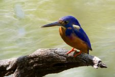 DSC_2893.jpg