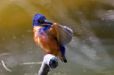 DSC_3074.jpg