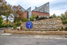 Chattanooga,TN--3 (1000x668).jpg