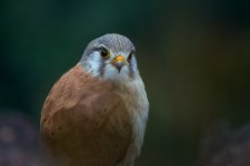 DSC_5772.jpg