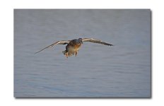 DSC_5418.jpg