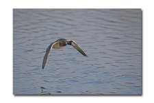 DSC_5424.jpg