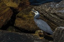 DSC_7538.jpg