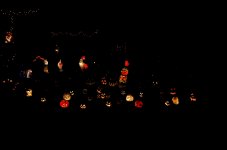 31st Oct 2015 031.JPG