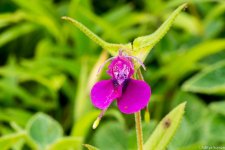 DSC_5607.jpg