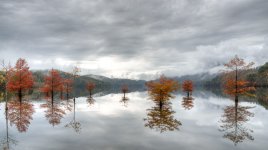 Autumn Reflections-.jpg