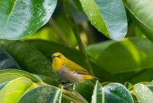 DSC_5809.jpg